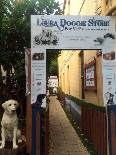 You'd love dog-friendly Leura!