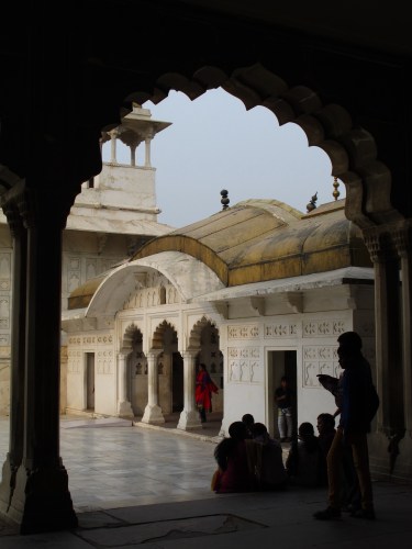 A Shutterbug's Haven. 