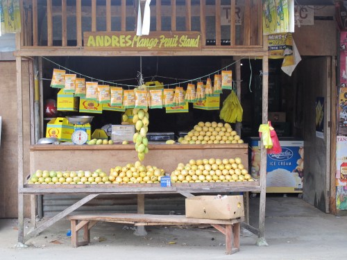 Sweetest Philippine mangoes!