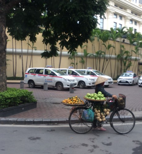 Our eyes brightened up each time we meet fruit peddlers on bikes. 