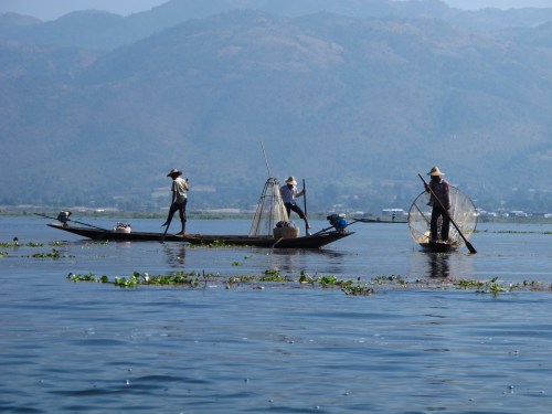 Busy fishing or modeling? 