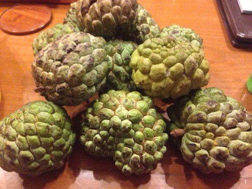 It's custard apple from Myanmar. Not as good as their Thai counterpart.